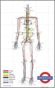 Bodymap underskin